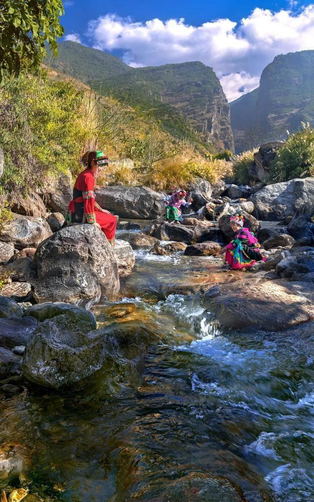 御龙在天